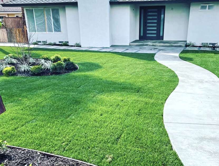 new-grass-installation-service-orange-county-ca
