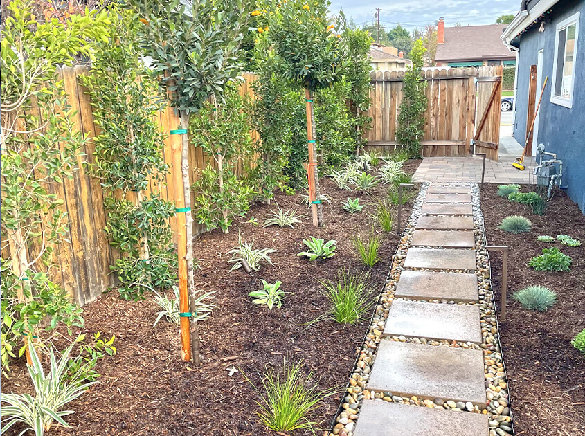 Landscaping-company-mission-viejo-ca